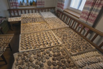 Ready-baked biscuits arranged on baking trays on the table, Bavaria, Germanybd