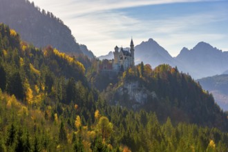 Castle on a hill in a landscape surrounded by autumn forests and mountains, Neuschwanstein,