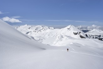 Lone ski tourer in mountain landscape with snow, summit Mittaghorn and Wildhorn, ascent to