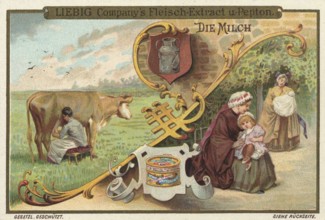 Picture series Drinks of the World, The Milk, Liebig picture, digitally restored reproduction of a