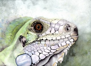 Watercolour painting of a lizard in shades of green and white, only the head, background blurred