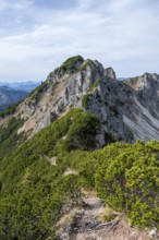 Hiking trail, Bayrischer Schinder, Tegernsee mountains in the Mangfall mountains, Germany, Europe