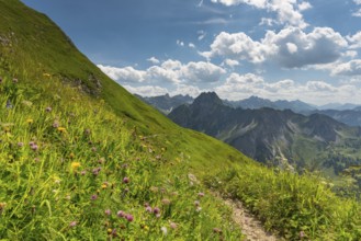 Laufbacher Eck-Weg, a panoramic high-altitude trail from the Nebelhorn into the Oytal, behind the