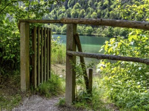 Landscape at Lake Thumsee, Bad Reichenhall, Bavaria, Germany, Europe