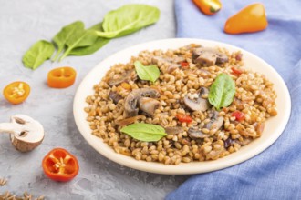 Spelt (dinkel wheat) porridge with vegetables and mushrooms on ceramic plate on a gray concrete