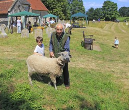 Man with grazing sheep on leash in churchyard, summer village event Blaxhall church, Suffolk,