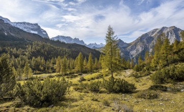 Mountain panorama with steep rocky peaks, yellow-coloured larches in autumn, hike to the summit of