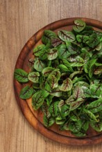 Sorrel bloody Mary, fresh baby sorrel leaves, with red veins, micro-greens, on a plate