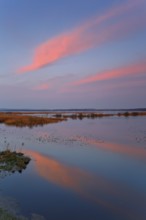 Morning atmosphere over the Große Rosin nature reserve, clouds reflected in the water, signs of bad