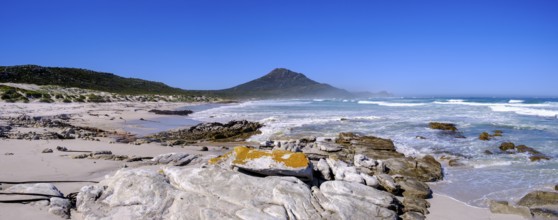 Platboom Beach, Cape Point, Cape of Good Hope, Cape Peninsula, Western Cape, South Africa, Africa