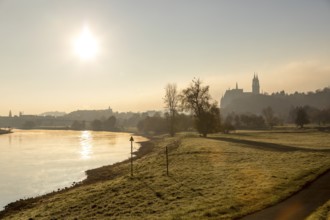 Silhouette of Albrechtsburg Castle with Elbe and Elbe meadows on an autumn morning, Meissen,