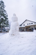 A large snowman on a snow-covered square in front of a building, surrounded by trees, Enzklösterle,