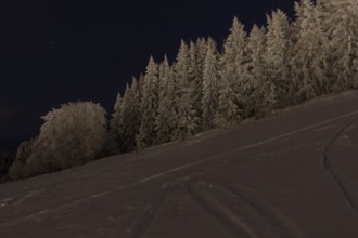 Snow-covered winter forest on the ski slope in Eibenstock at night, Erzgebirge, Saxony, Germany,