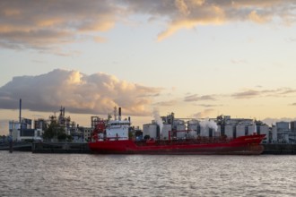 Tanker in front of the oil harbour, evening light, Hamburg, Germany, Europe