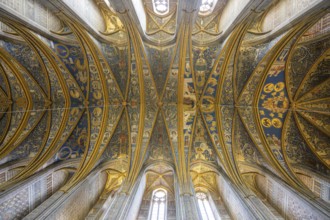 Ceiling fresco in St Cecilia's Cathedral, Albi, Département Tarn, France, Europe