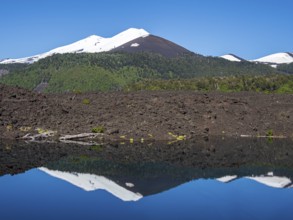 Volcano Llaima, Conguillio National Park, lake Laguna Arcoiris, Chile, South America