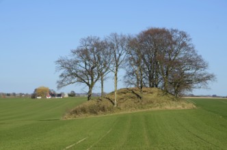 Ancient burial mound in the landscape of Vemmenhög, Skurup Municipality, Skåne County, Sweden,