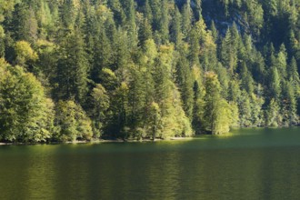 Lake Koenigssee in autumn, Alps, Bavaria, Germany, Europe