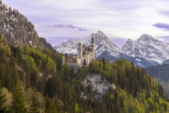 Neuschwanstein Castle near Füssen, evening mood, Schwangau, Allgäu Alps, snow, Ostallgäu, Bavaria,