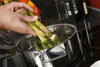 South German cuisine, vegetables, vegetarian, preparation of green asparagus with rhubarb