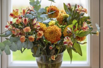 Colourful bouquet of flowers in a vase in front of a window, Mecklenburg-Vorpommern, Germany,