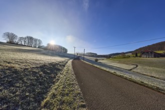 Hilly landscape with meadow, forest and trees, blue sky, backlight of the sun, Breitebene road,