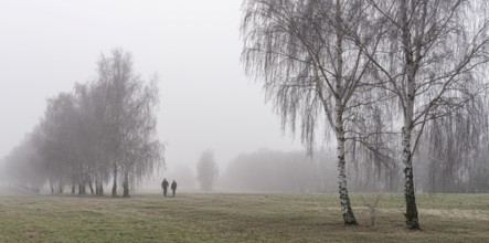 Landscape photography, fog in January, Berlin Lübars, Germany, Europe