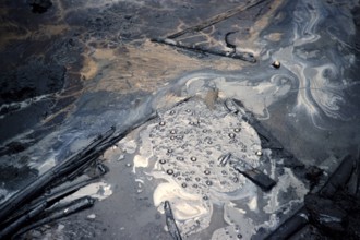 Stream of liquid moving pitch tar in Pitch lake, Trinidad c 1962