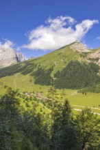 The Eng-Alm seen from the path to the Bins-Alm, Eng-Alm, Karwendel Mountains, Tyrol, Austria,