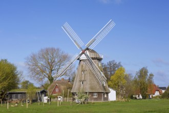 Kaffeemühle, windmill at Ahrenshoop on the Fischland-Darß-Zingst peninsula, Vorpommern-Rügen