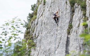 A woman climbs a route on the Spitzsteinwand in Erl, 14.07.2024