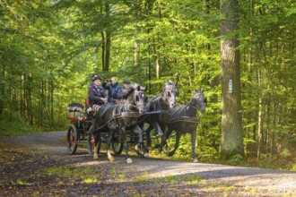 Presentation and route ride, all carriages in stylish tension, popular sporting event over approx.