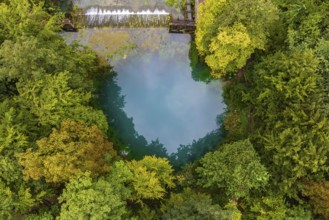 Blautopf Blaubeuren, source of the River Blau in a landscape with forest. Karst spring, geotope and