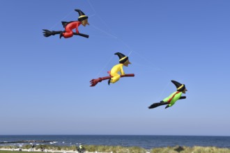 Kite festival, flying kites on Schönberg beach, Schleswig-Holstein, Germany, Europe