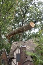 Detroit, Michigan, A storm with 70mph wind gusts blew down a 15-ton, 110-foot cottonwood, damaging