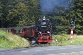 HSB, Harz narrow-gauge railway, locomotive, steam engine, smoke, HSB railway, Brockenbahn, Harz,