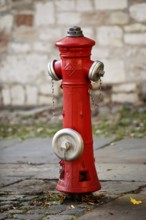 Above-ground hydrant without downpipe, Altstadtmarktplatz, Altstadt, Braunschweig, Lower Saxony,