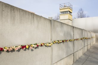 The Wall decorated with roses at the central commemorative event at the Berlin Wall Memorial to