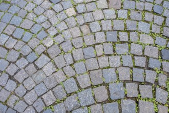 Cobblestone, texture, background, Münsterland, North Rhine-Westphalia, Germany, Europe