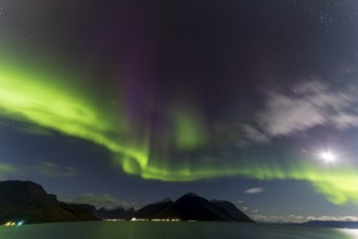 Northern Lights, (Aurora borealis) at a fjord near Skjiervoya, September 2024, Lapland, Finnmark,