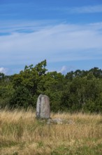 The Karlevi stone is a rune stone and part of a burial site, probably from the Viking Age around