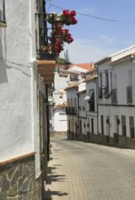 Whitewashed buildings narrow street, Montejaque, Serrania de Ronda, Malaga province, Spain, Europe