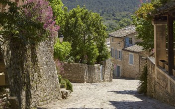 Steep cobbled street with walls and houses made of natural stone with a wooded hillside in the