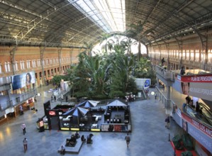 Tropical rainforest plants growing in garden inside Atocha railway station, Madrid, Spain, Europe