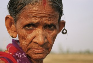 Portrait of a hindu woman, Teraï region, Nepal, Asia