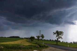 Storm on the Triebenberg near Dresden, Dresden, Saxony, Germany, Europe