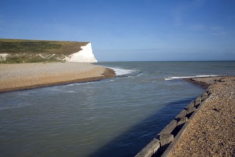 Chalk cliffs of the Seven Sisters from Cuckmere river mouth, East Sussex, England, United Kingdom,