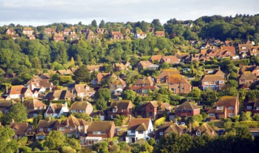 Detached houses in gardens East Dean, East Sussex, England, United Kingdom, Europe