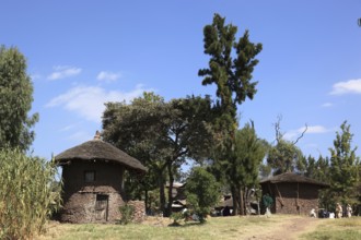 Lalibela, traditional round huts, historic Tukul houses, Ethiopia, Africa