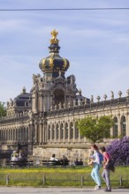 The lilacs bloom magnificently at the Zwinger moat, Dresden, Saxony, Germany, Europe